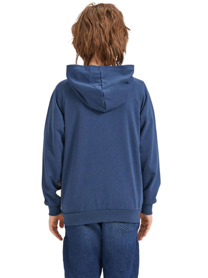 Alleen Boys' Sweat Jacket Hoodie Long Sleeve Cotton Children's Pullover Dino Hoodie Jacket with Hood and Zip 