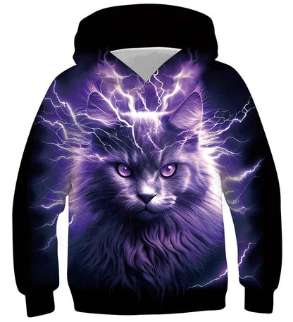 Fanient Children's / Boys’ / Girls’ Hoodies, 3D Print, Vivid Animal Cartoon Graphic Sweatshirt, Pocket Pullover Hoodie for 6-16 Years