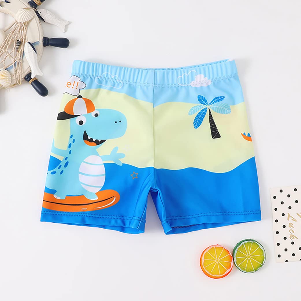 NautySaurs Pack of 2 Boys Swimming Shorts 5-13 Years Large Boys Swimwear Dinosaur Kids Swimming Trunks