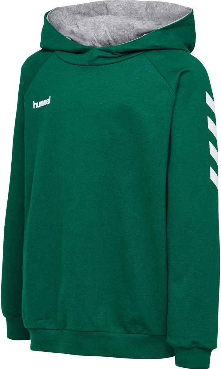 hummel Fußball - Textilien - Sweatshirts Cotton Hoody Kids
