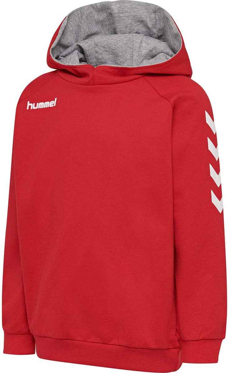 hummel Fußball - Textilien - Sweatshirts Cotton Hoody Kids