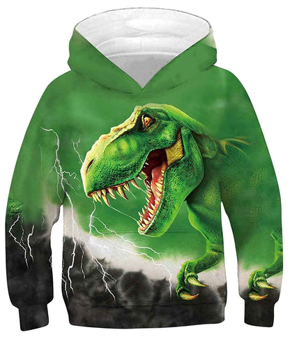 Fanient Children's / Boys’ / Girls’ Hoodies, 3D Print, Vivid Animal Cartoon Graphic Sweatshirt, Pocket Pullover Hoodie for 6-16 Years