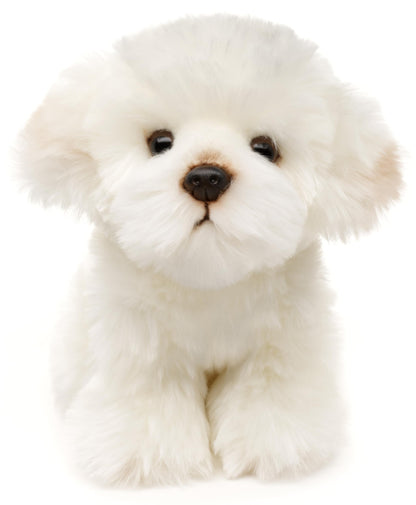 Uni-Toys - Maltese - 18 cm (height) - plush dog, pet - plush toy, cuddly toy