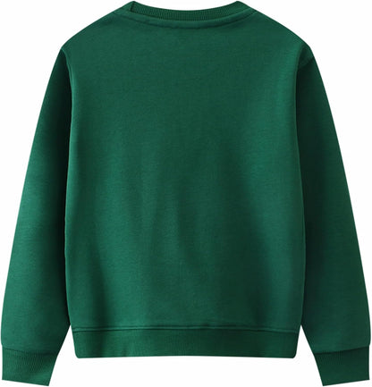 CM-Kid Sweatshirts Jungen Langarm Pullover Kinder Baumwolle Frühling Herbst Winter Warm Tops 1-7 Jahre Gr.92-122
