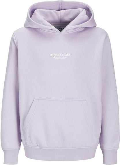JACK & JONES Herren Jorvesterbro Sweat Hood Noos Jnr