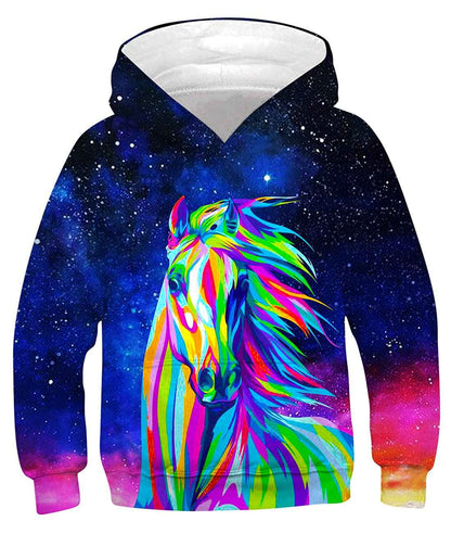 Fanient Children's / Boys’ / Girls’ Hoodies, 3D Print, Vivid Animal Cartoon Graphic Sweatshirt, Pocket Pullover Hoodie for 6-16 Years