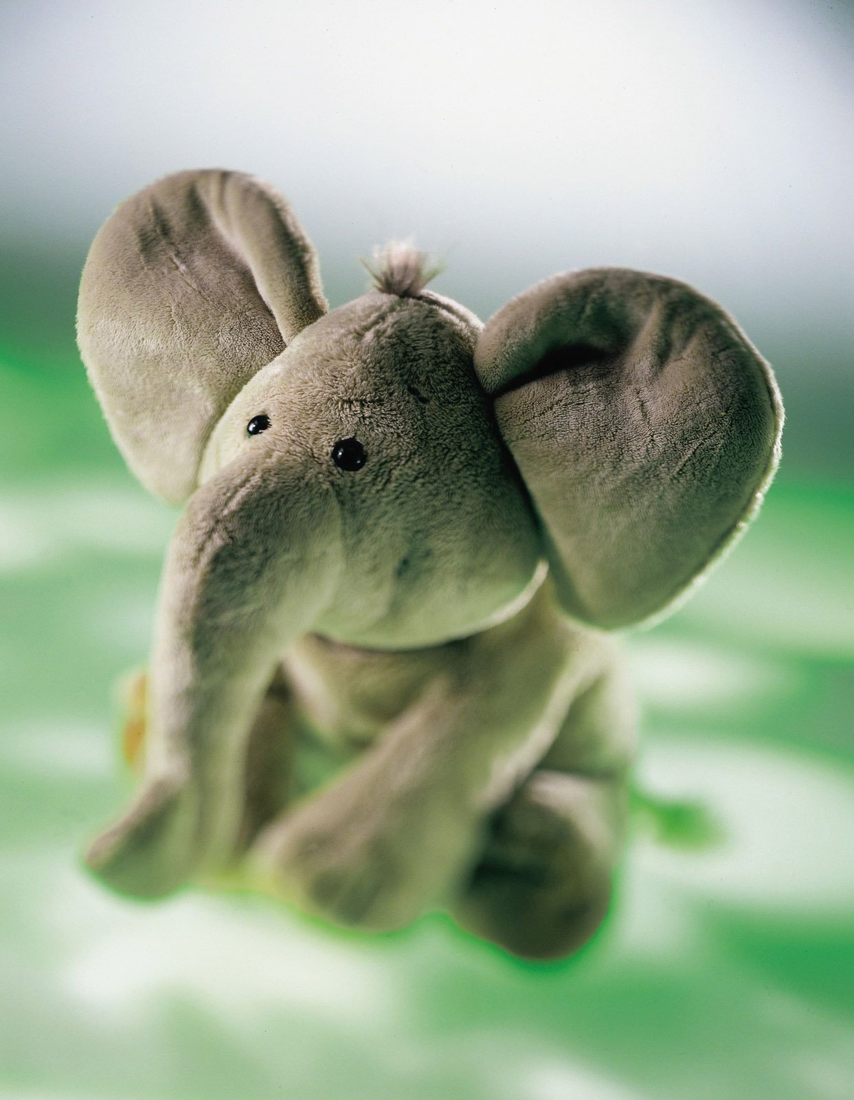 Schaffer 4230 Plüsch Elefant Sugar 13 cm