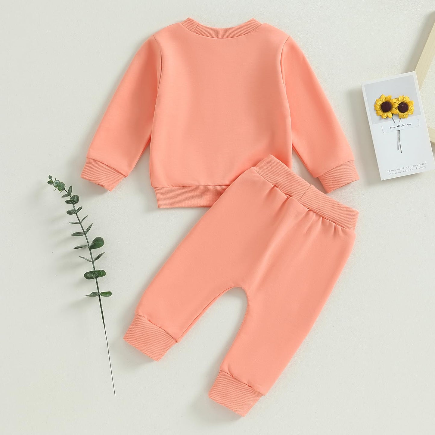 Himllauen Baby Mädchen Kleidung Sweatshirt + Lange Hose Zweiteiler Babykleidung Set Kleinkind Outfits
