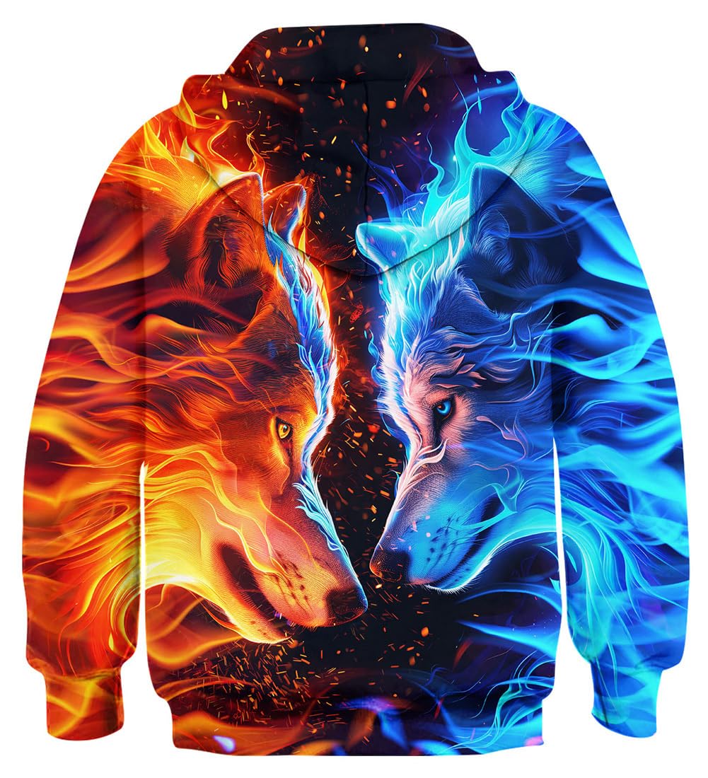 Fanient Children's / Boys' / Girls' Hoodies, 3D Print, Vivid Animal Cartoon Graphic Sweatshirt, Pocket Pullover Hoodie for 6-16 Years 