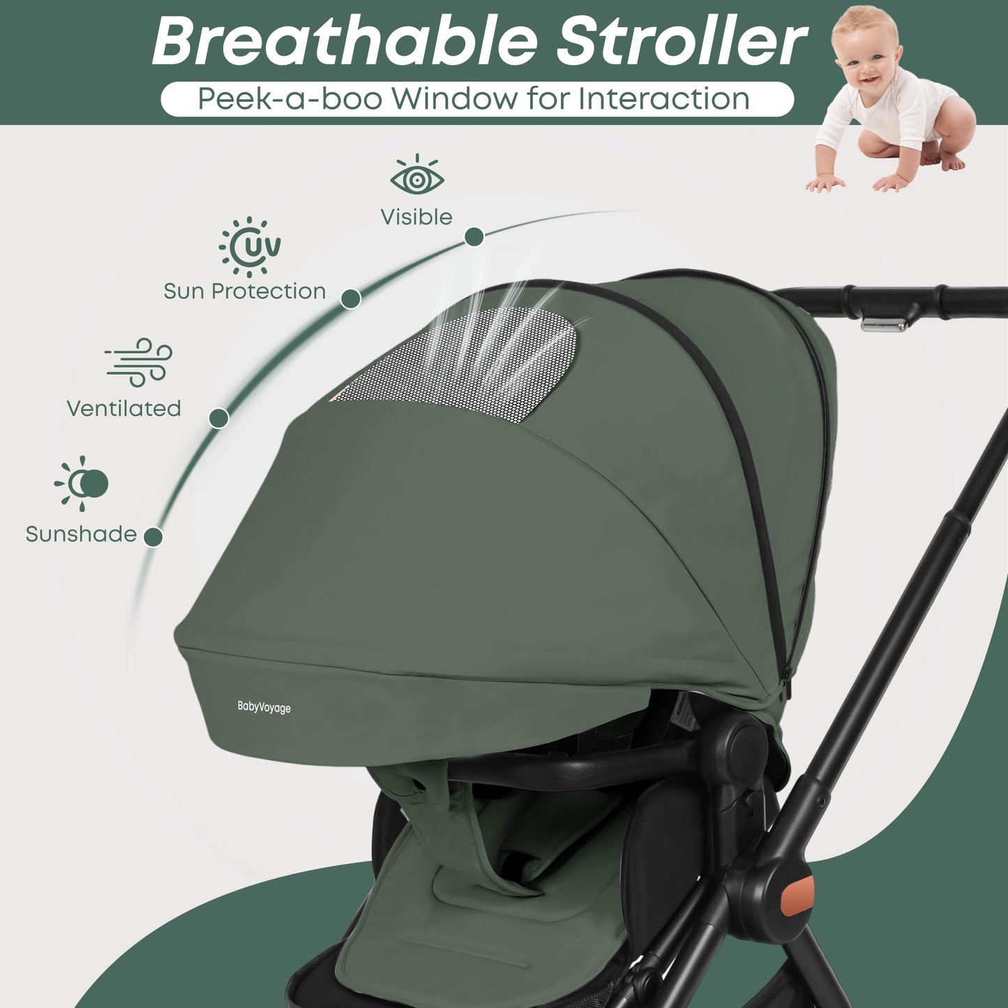 BabyVoyage Kombikinderwagen 2-in-1 ohne Babyschale – Babywanne & Sportsitz, Räder 360° Stoßdämpfer, Federung, höhenverstellbarer Griff, Faltbar, Zubehö-Grün