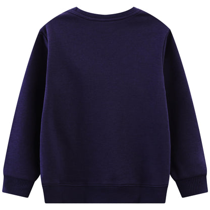 Sweatshirt Children's Boys Glow in the Dark Dinosaur Sweatshirt Astronaut Print Pullover Sport Navy Long Sleeve Warm Cotton Top Jogging Sweatshirt 2-7 Years, Size 92-122