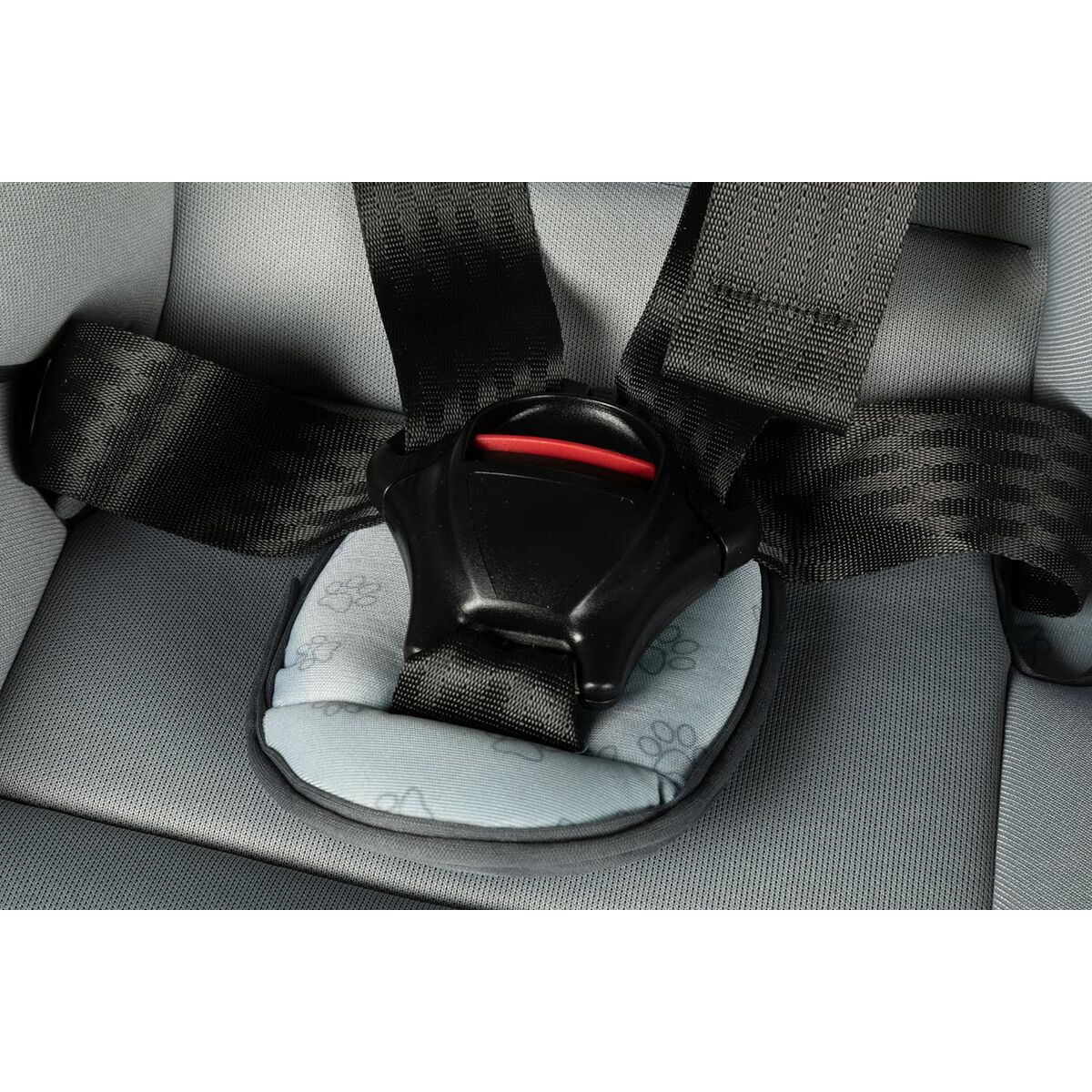 Autositz Hilo CZ11032 9 - 36 Kg Grau - Meloni2