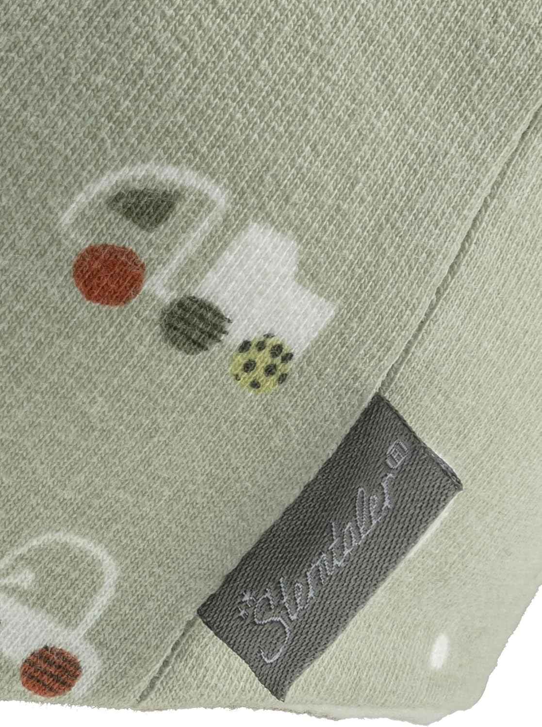 Sterntaler Beanie Sweat Printed with Dinosaurs Boys - Baby and Children's Hat Made of Sweat Fabric
