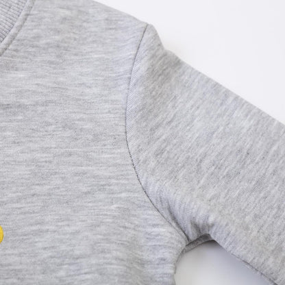 Dinopjs Children's Boys Pullover Sweatshirt Cute Long Sleeve Cotton Dinosaur Cartoon Jurassic Planets Digger Crane Dump Truck Tractor Winter & Spring Christmas Warm Tops 2-7 Years