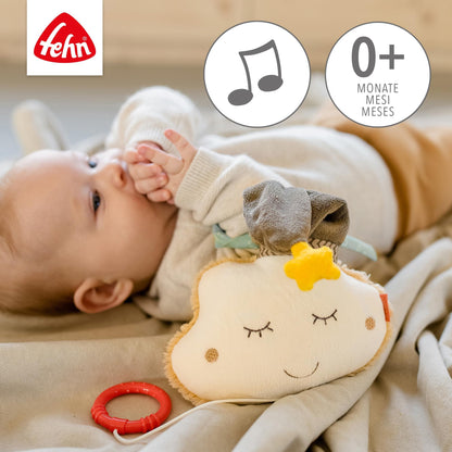 Fehn Spieluhr Baby Einschlafhilfe Schaf - Kuscheltier mit sanfter Einschlafhilfe Melodie "Guten Abend, gut´ Nacht" - Babyspielzeug für Unterwegs und Zuhause - Musikspielzeug für Babys und Kleinkinder