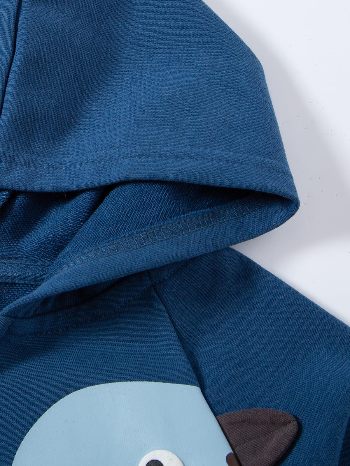 Alleen Boys' Sweat Jacket Hoodie Long Sleeve Cotton Children's Pullover Dino Hoodie Jacket with Hood and Zip 