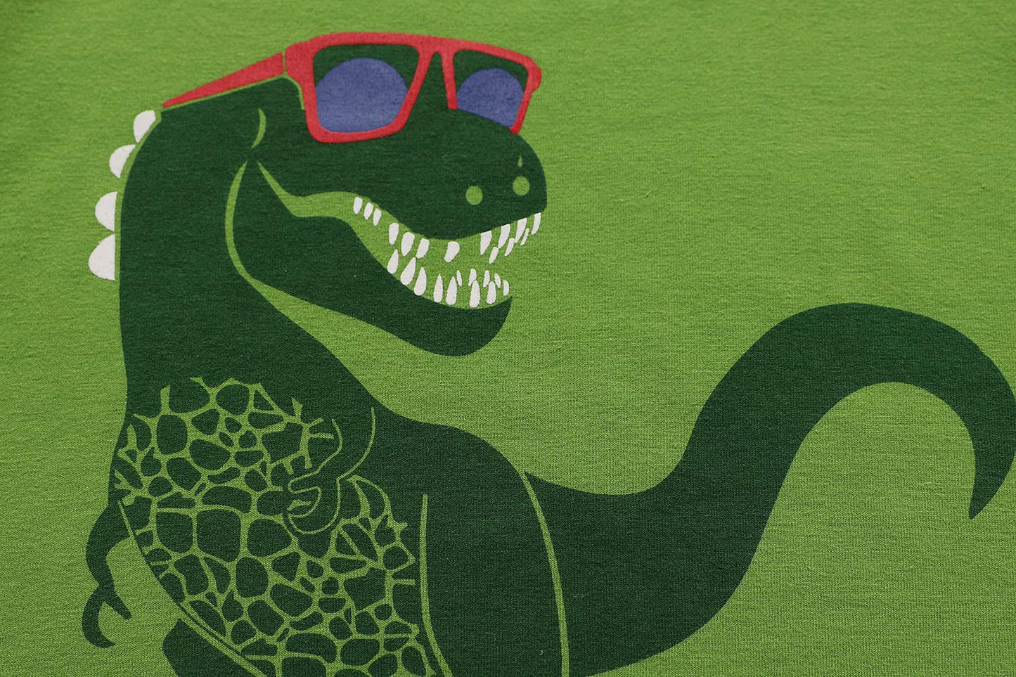 Dinosaurier-Pyjamas für Jungen, lange Nachtwäsche aus Baumwolle, Pyjamas für Kinder