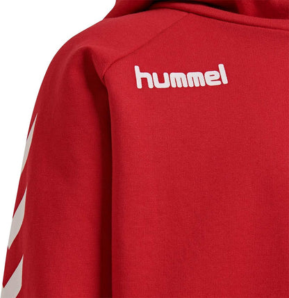 hummel Fußball - Textilien - Sweatshirts Cotton Hoody Kids