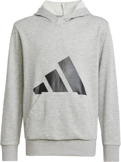 adidas Unisex Kinder Essentials Big Logo Hoodie Hooded Sweatshirt (1er Pack)