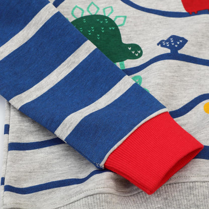 Dinopjs Children's Boys Pullover Sweatshirt Cute Long Sleeve Cotton Dinosaur Cartoon Jurassic Planets Digger Crane Dump Truck Tractor Winter & Spring Christmas Warm Tops 2-7 Years