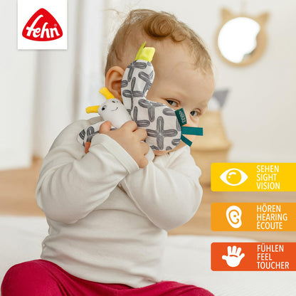 Fehn Knister-Seestern – Activity-Rascheltier zum Greifen & Lauschen | Fördert Sinne und Motorik – zum Geräusche erzeugen und Spielen – für Babys und Kleinkinder ab Geburt