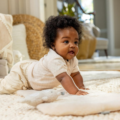 Ingenuity Hugs & Hoots zusammenklappbare & tragbare Babyschaukel, 5 Schaukelgeschwindigkeiten, 8 Melodien, 3 Naturgeräusche, Lautstärkeregulierung und Spielzeugbügel, ab der Geburt bis 9kg