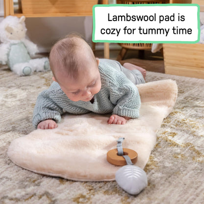 Ingenuity, Cuddle Lamb Babywippe Babyschaukel mit Schaukelfunktion und Vibrationen, Spielbogen mit 2 Plüsch Spielzeug, Musik, 4 Naturgeräuschen und Lautstärkeregler, ab Geburt bis 18 kg