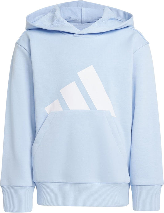 adidas Unisex Kinder Essentials Big Logo Hoodie Hooded Sweatshirt (1er Pack)