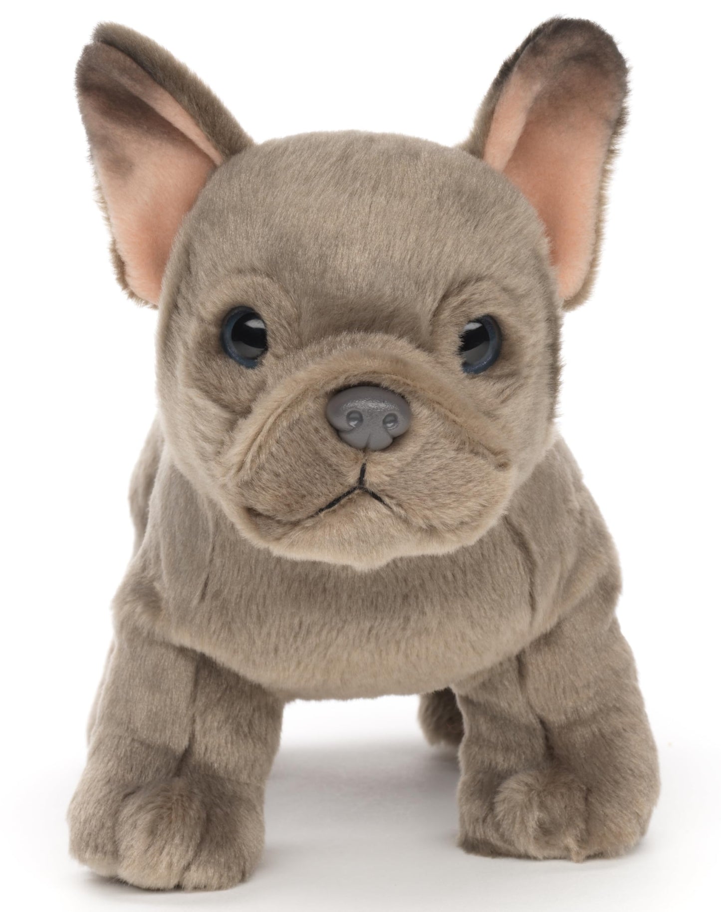 Uni-Toys - Französische Bulldogge (beige) - Ohne Leine - 26 cm (Länge) - Plüsch-Hund - Plüschtier, Kuscheltier