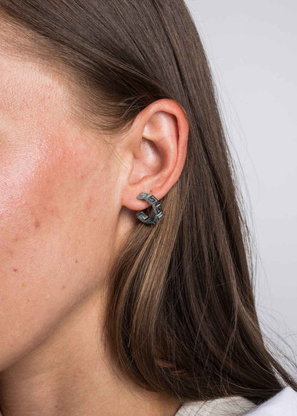 Argius Earrings Silver