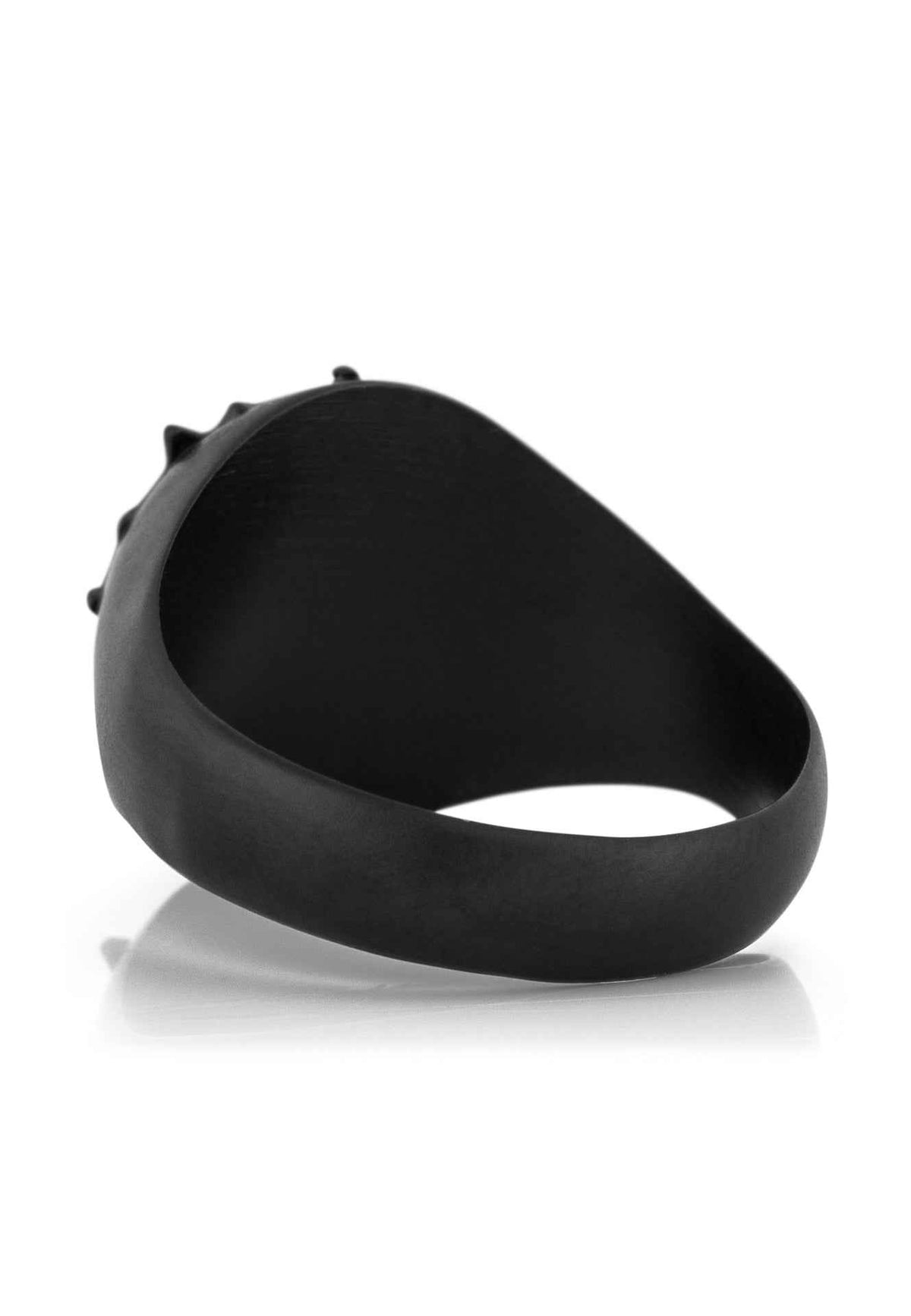 Guidance Ring Matte Black