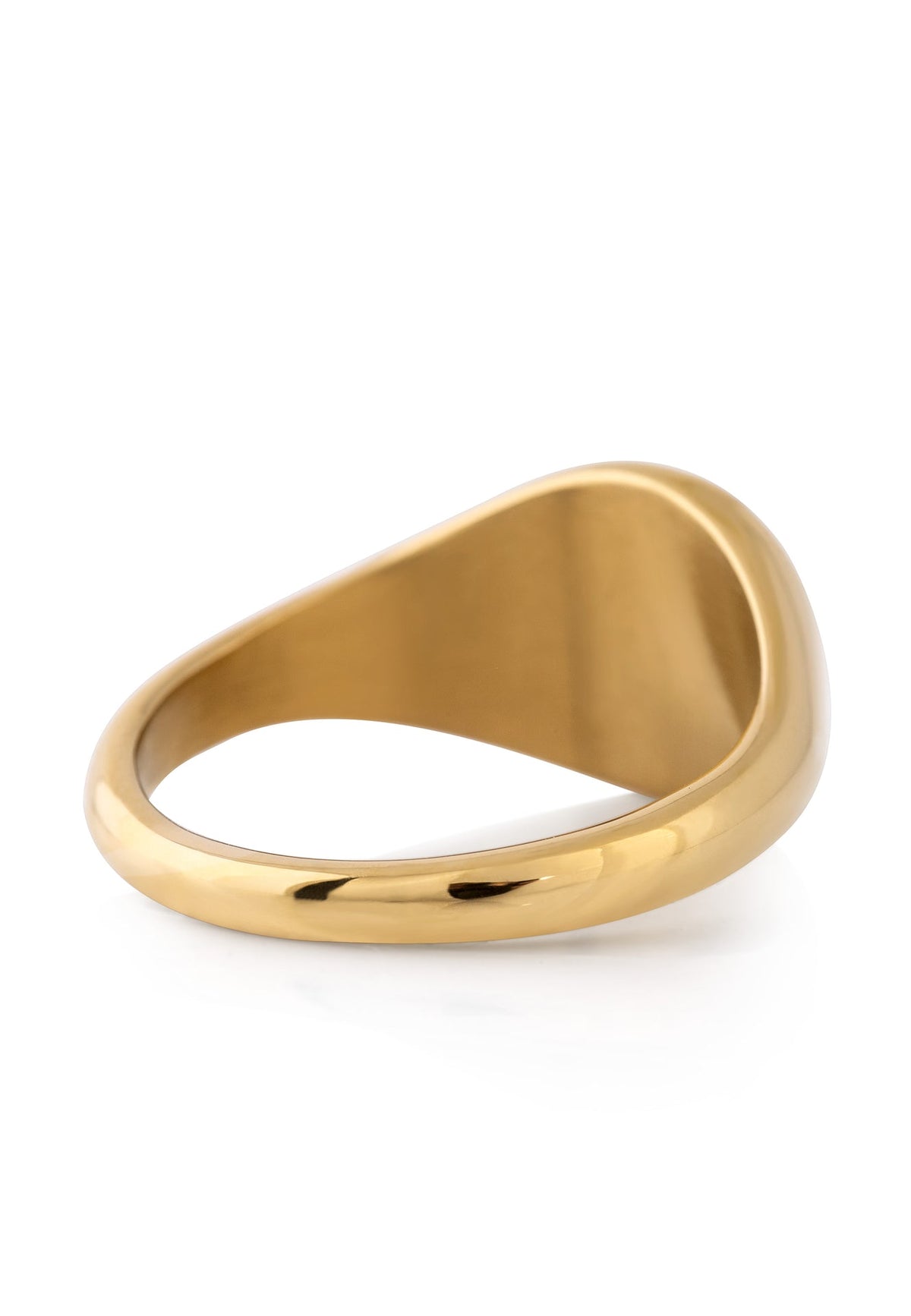 Parvus Signet Ring Gold