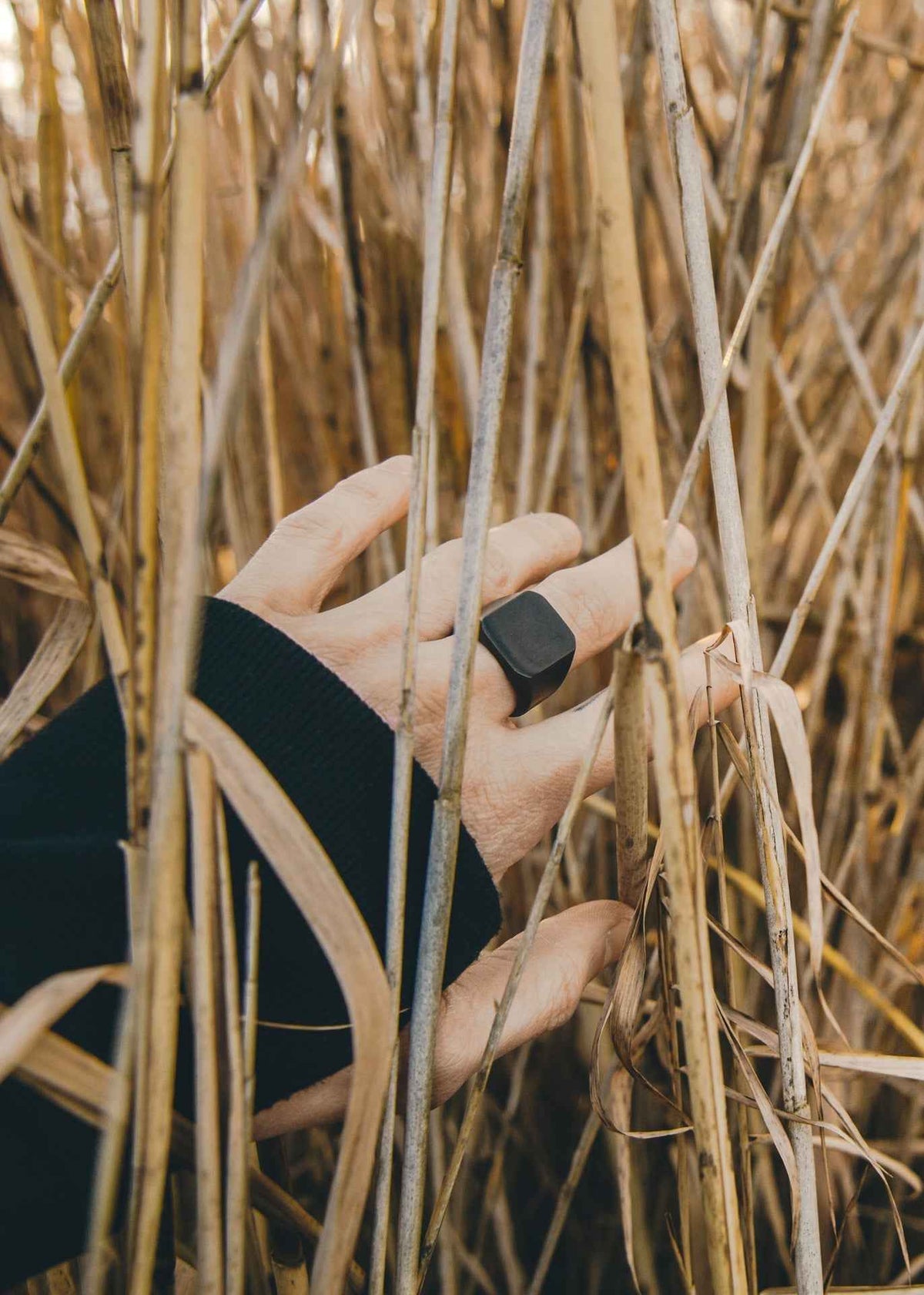 Iustitia Ring Matte Black