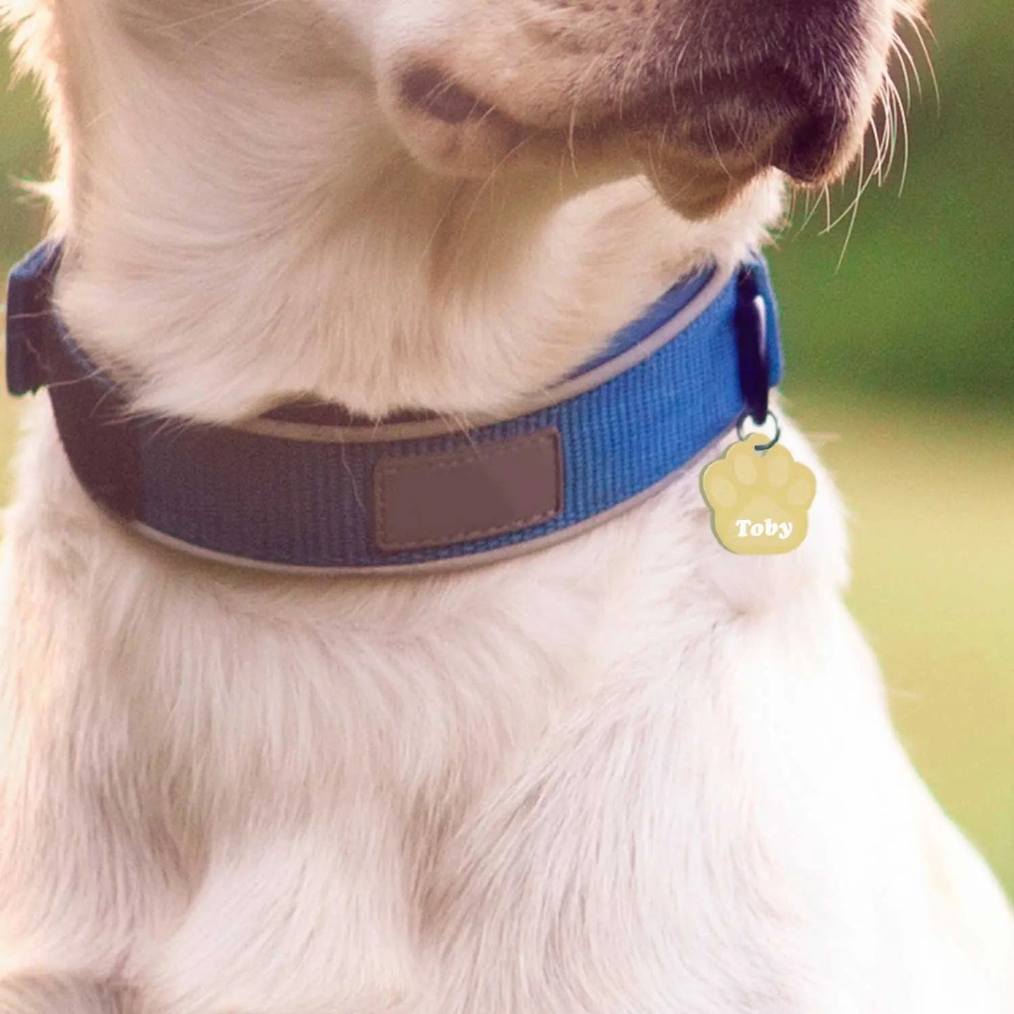 Hundemarke mit Gravur - Große Pfote