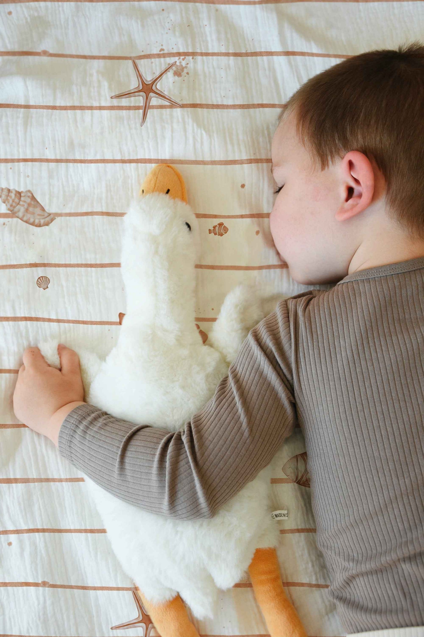 "Kleine Seesterne" Premium Kinderbettwäsche