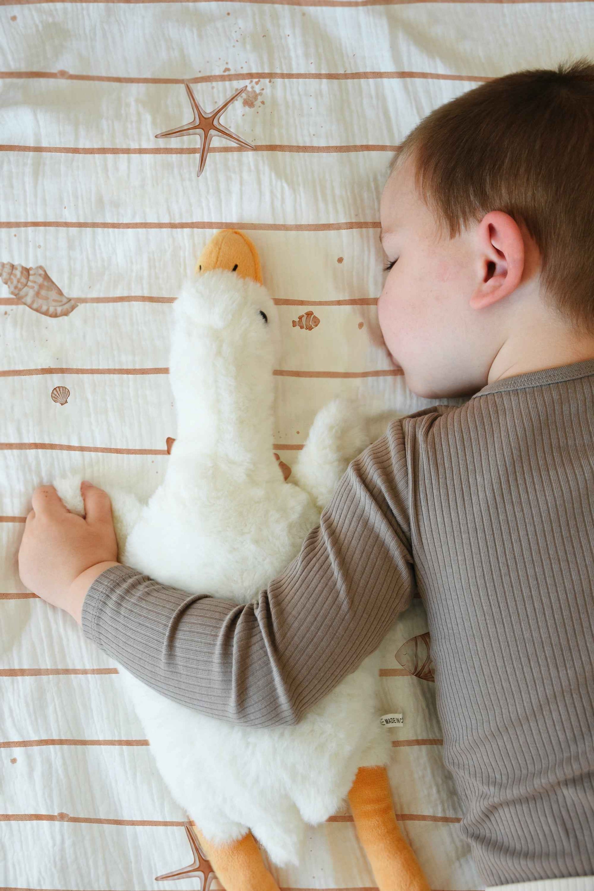 "Kleine Seesterne" Premium Kinderbettwäsche