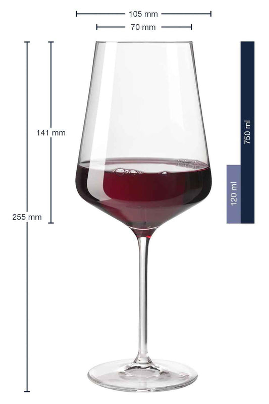 Leonardo Puccini Weinglas 750ml  "Schlechter Tag, Guter Tag - Frag nicht!"