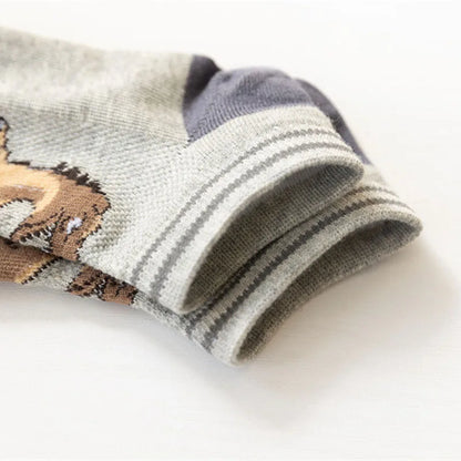 5 Paar Socken für Jungs mit Dinos - Meloni2