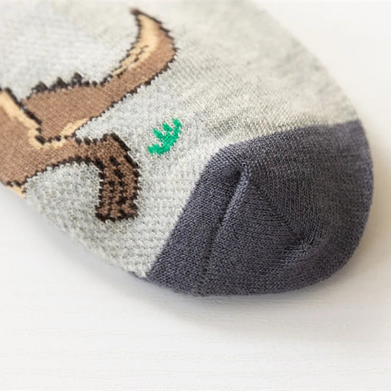 5 Paar Socken für Jungs mit Dinos - Meloni2
