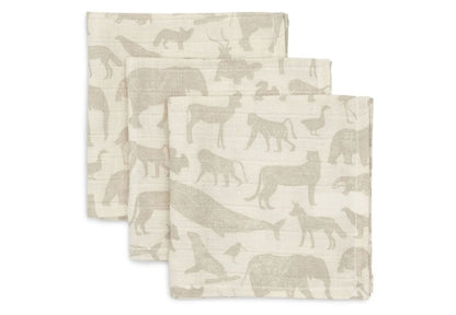 Wild Animals Box