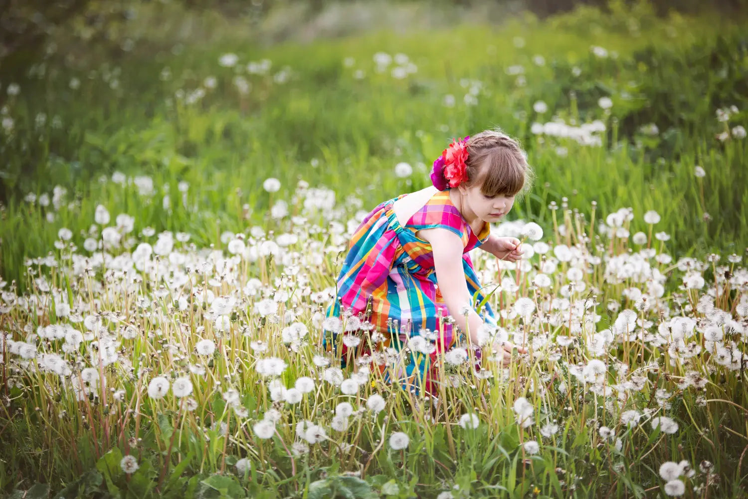 Eine junge mädchen trägt ein lebhaft bunt kariertes kleid mit kurzärmeln und geraffter taille und steht in einem feld voller weißer löwenzahnblumen auf der seite Über uns.