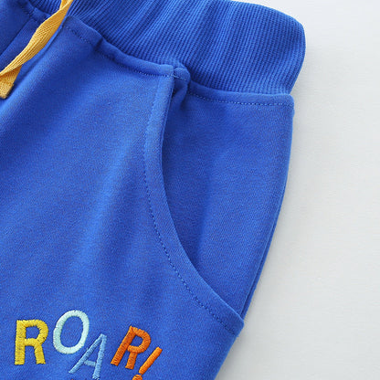 Summer New Arrival Kids Boys Cotton Casual Style Cartoon Lion and Letters Pattern Shorts-3